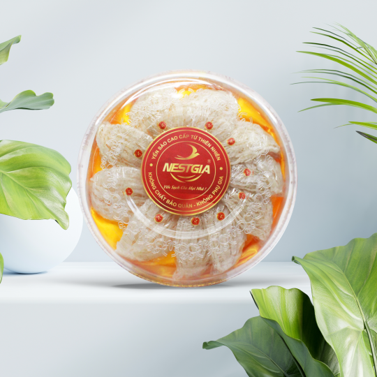 TỔ YẾN RÚT LÔNG KHÔ THƯỢNG HẠNG NESTGIA 