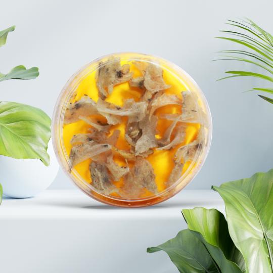 CHÂN YẾN THÔ NESTGIA 
