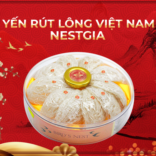 TỔ YẾN RÚT LÔNG KHÔ THƯỢNG HẠNG NESTGIA 