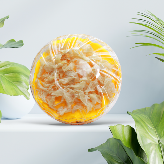 CHÂN YẾN RÚT LÔNG NESTGIA