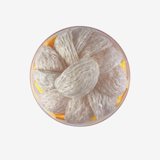TỔ YẾN RÚT LÔNG KHÔ THƯỢNG HẠNG NESTGIA 