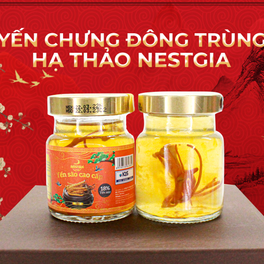 Yến chưng đông trùng hạ thảo cao cấp NestGia 