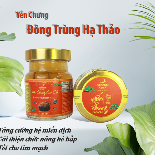 Yến chưng đông trùng hạ thảo cao cấp NestGia 