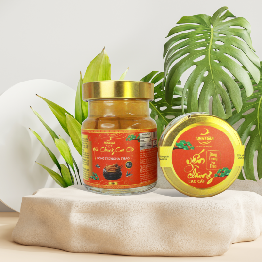 Yến chưng đông trùng hạ thảo cao cấp NestGia 